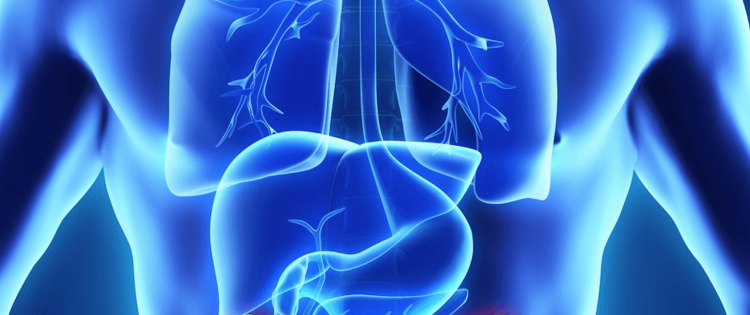 Oberbauchchirurgie im Chirurgicum Berlin Bauchchirurgie Berlin