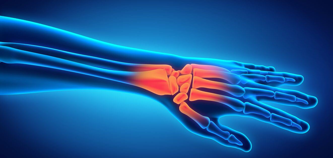 Anatomischer Aufbau der Hand Minimalinvasive Handchirurgie in Berlin
